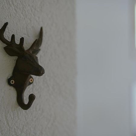 No 19 In The Black Forest St. Blasien Exterior foto