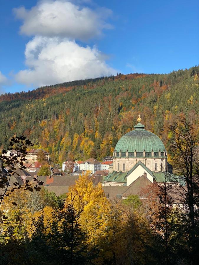 No 19 In The Black Forest St. Blasien Exterior foto